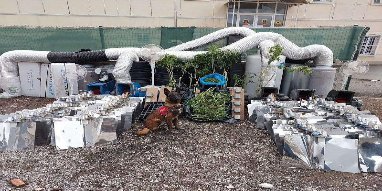 Ankara'da 10 Kilo Esrar Ele Geçirildi; 1 Gözaltı