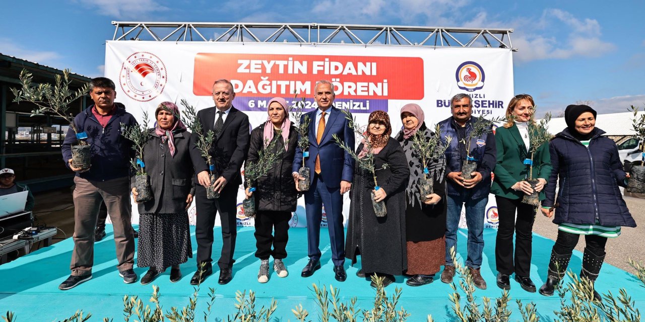 Denizli Büyükşehir Belediyesi 240 Bin Zeytin Fidanını Toprakla Buluşturacak