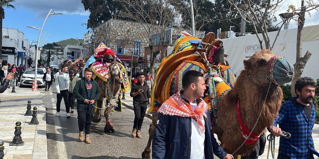 Bodrum’da Develer Meydana İndi, Turistler İlgi Gösterdi