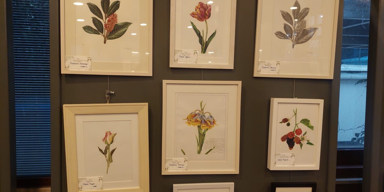 Bilimsel Bitki İllüstrasyon Eserlerinden Oluşan 'Kış Güneşi Çiçekleri' İsimli Sergi Açıldı