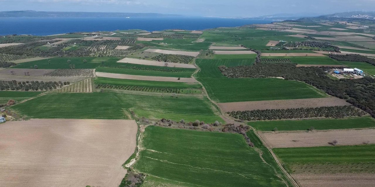 Çanakkale'de 109 Yıl Sonra Kayıp 'halileli Batarya Şehitliği'nin Yeri Belirlendi