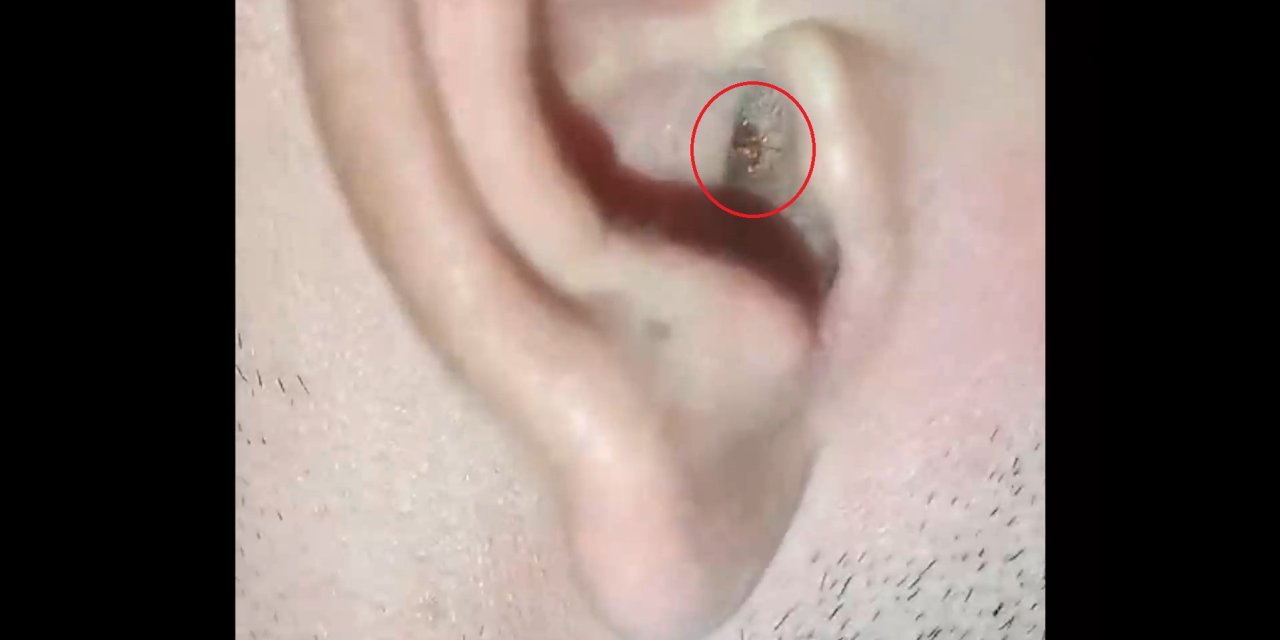 Diyarbakır’da Joker Operasyonu: 12 Gözaltı