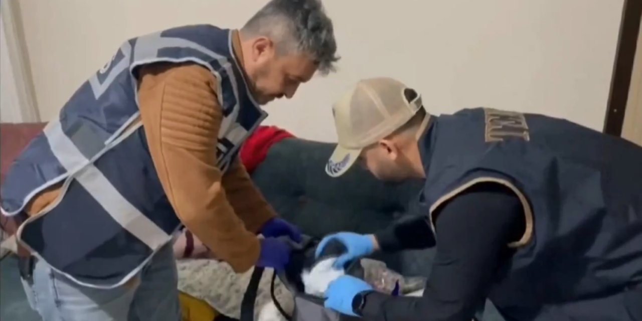 'Bozdoğan-11' Operasyonlarında 33 Deaş Şüphelisi Yakalandı