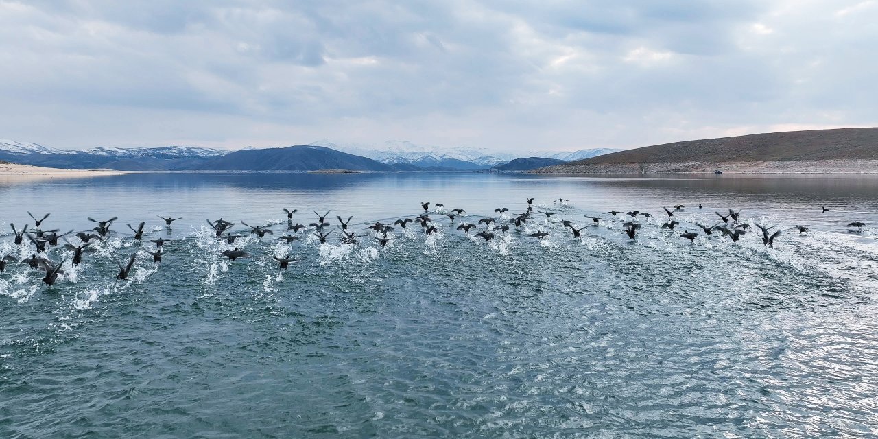Küresel Isınma İle Sayıları Azalan Su Kuşları İçin Tunceli'de Envanter Çalışması: 11 Türde 10 Bin Kuş Var