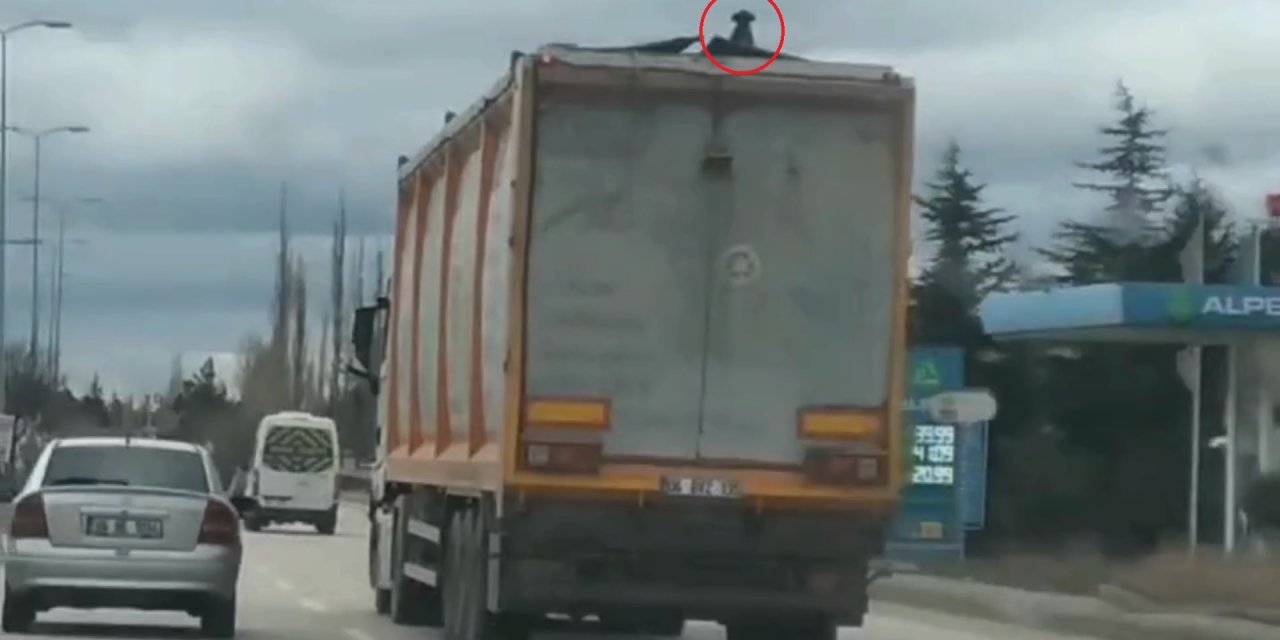 Geri Dönüşüm Kamyonunun Üzerindeki Yavru Köpek Kurtarıldı