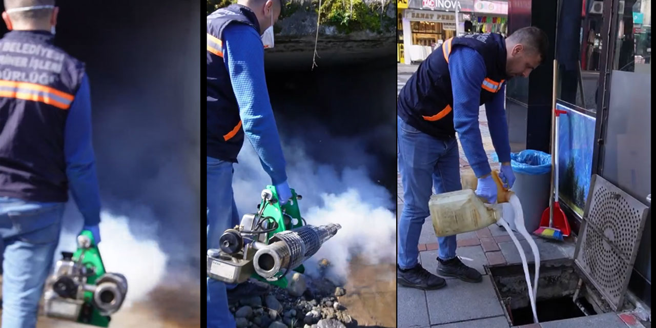 Rize Belediyesi Sivrisinekle Mücadelede Larva Döneminde!