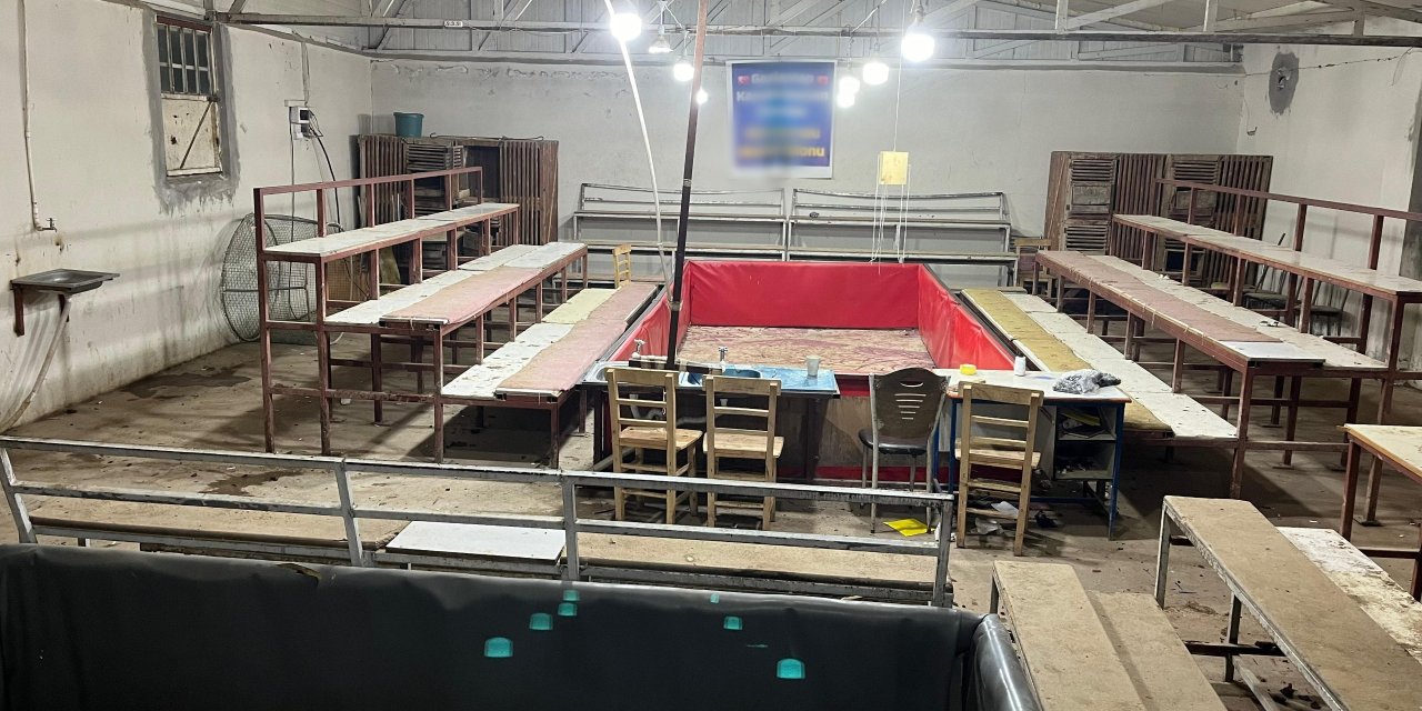 Horoz Dövüştürüp Bahis Oynayan 26 Kişiye 180 Bin Tl Ceza