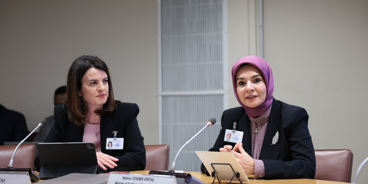 Bakan Göktaş'ın Birleşmiş Milletler Temasları