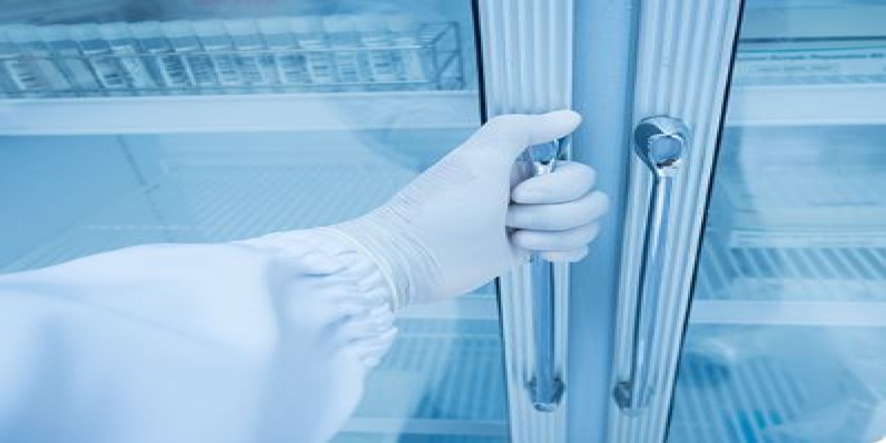 Salgın Hastalıklara Karşı Yerli Tanı Kiti