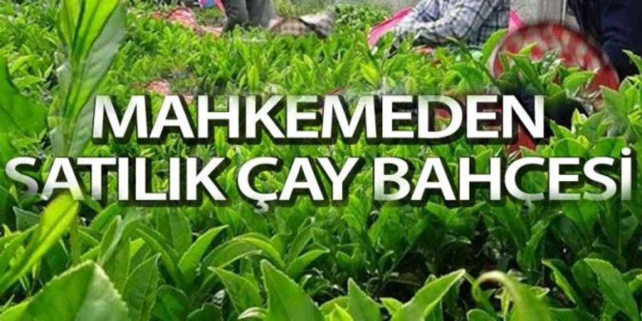 Rize'de 2.774 m² çay bahçesi icradan satılıktır