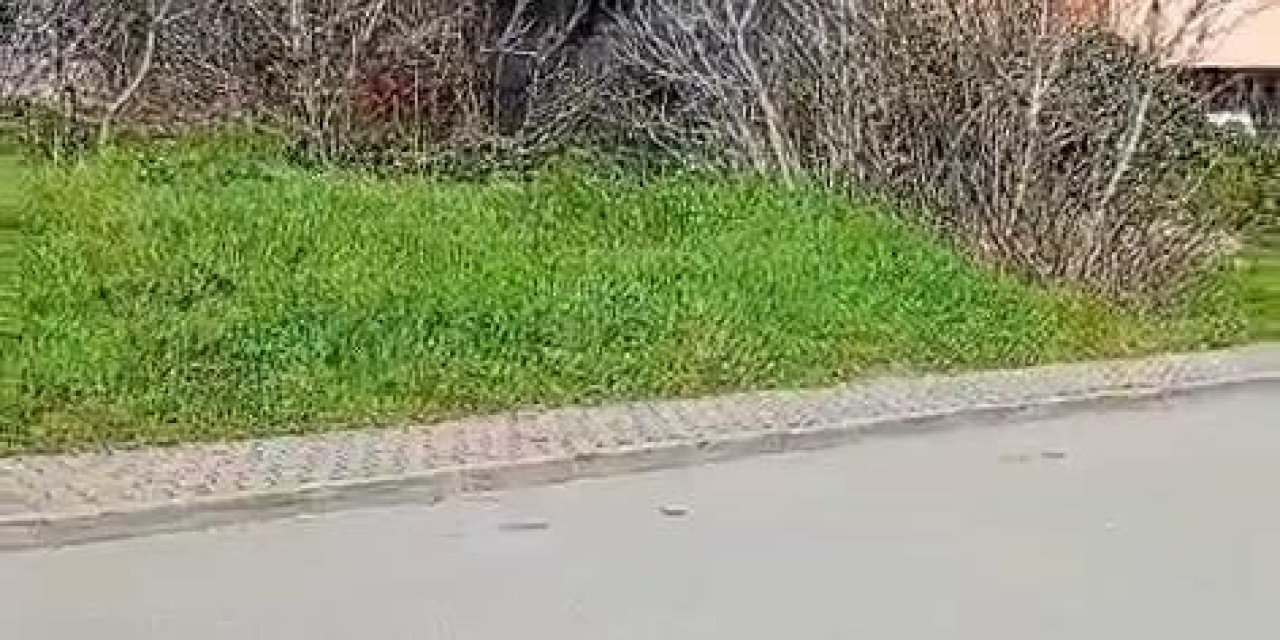 İstanbul - Ataşehir'de Tamirhanede Yangın-1