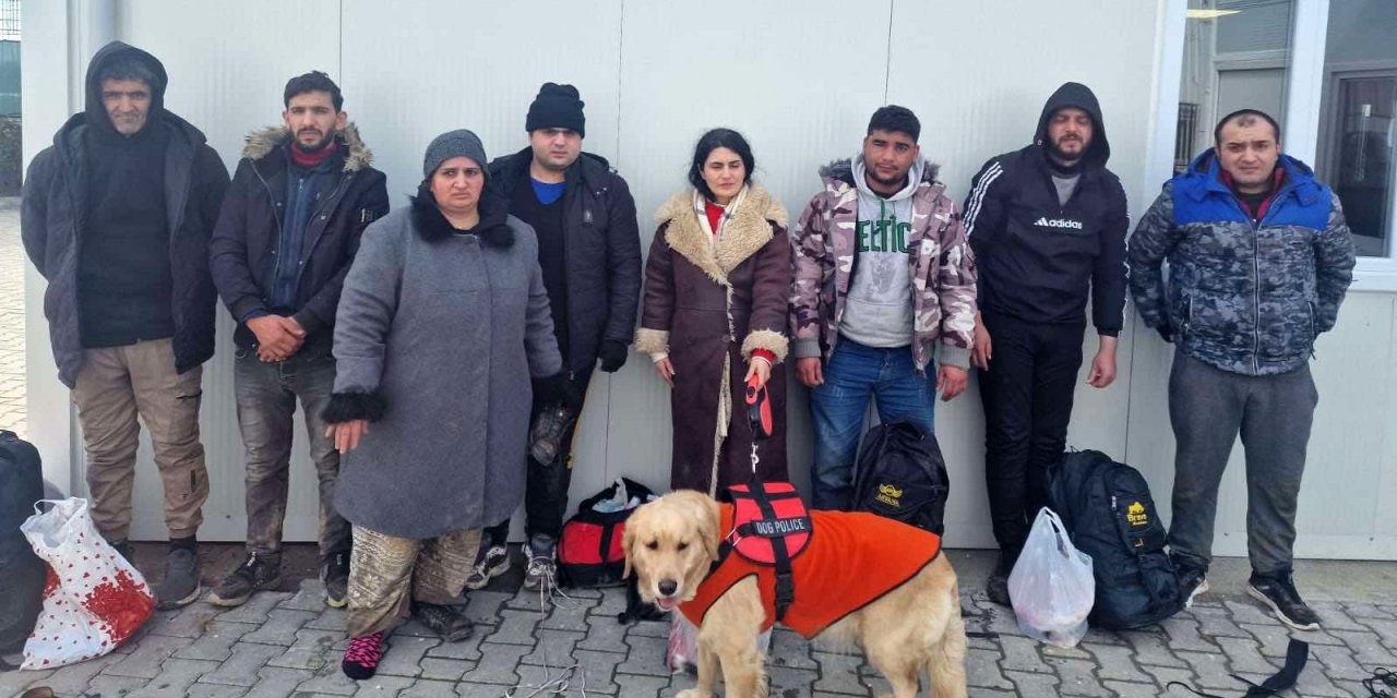 Görme Kaybı Olan Göçmen, Yunanistan'a Kaçarken Rehber Köpeği İle Yakalandı