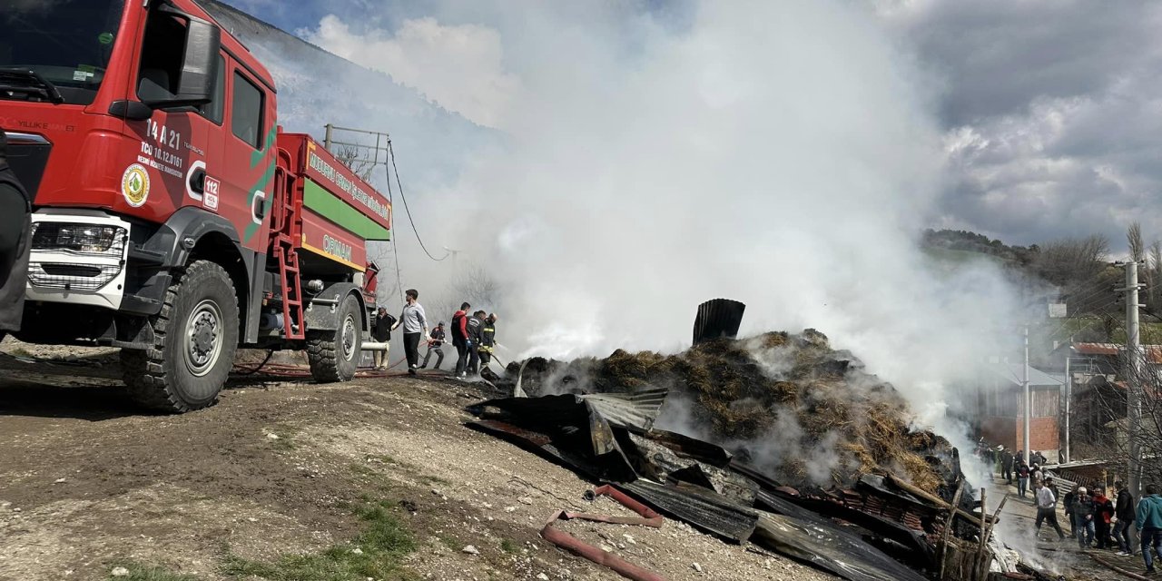 Köyde Çıkan Yangında 2 Ev, Samanlık Ve Odunluk Yandı; 2 Yaralı