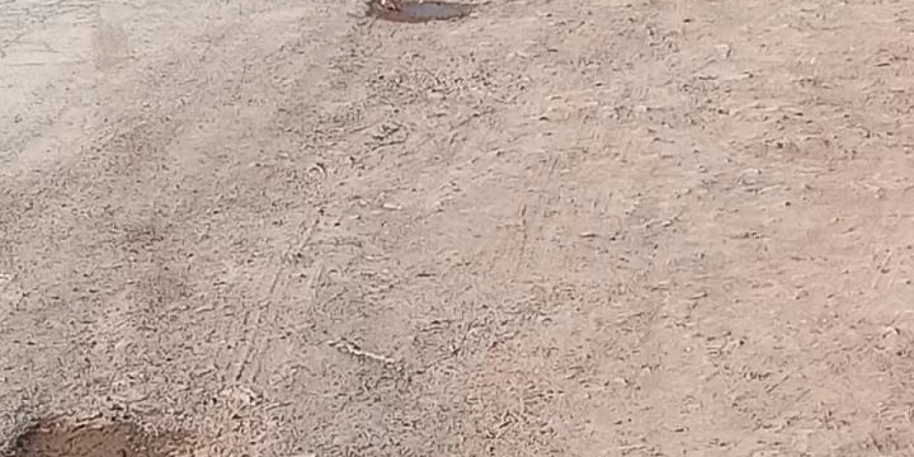 Atv'sine Bağladığı Köpeğini Sürükledi; O Anlar Kamerada