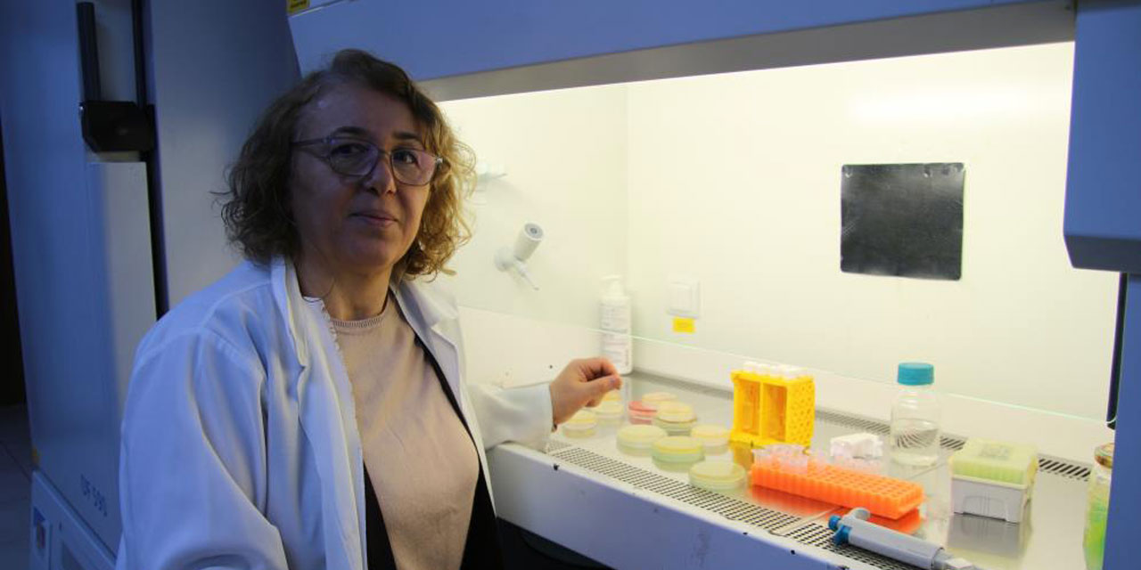 Hastalar antibiyotik kullanılmadan tedavi olabilecek