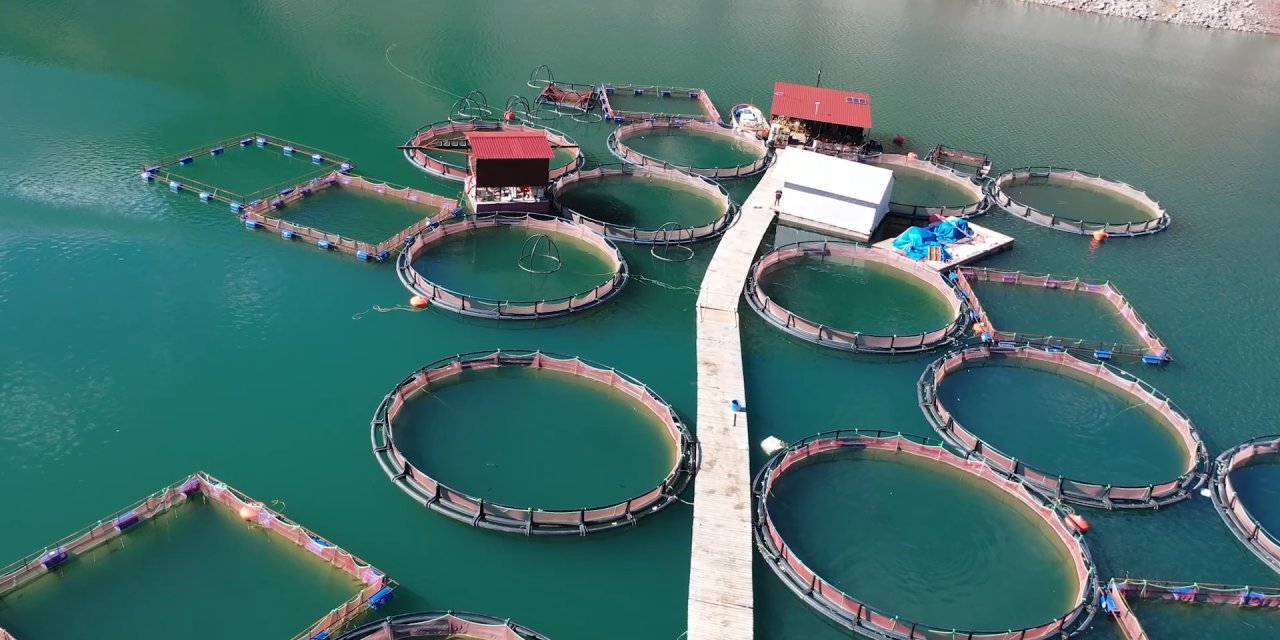 Bakan Yumaklı: Ipard Iıı Programı'mda 785 Milyon Euro Hibe Desteği Kullandıracağız