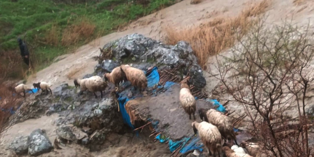 Beytüşşebap'ta Sağanak Nedeniyle Okullar Tatil Edildi
