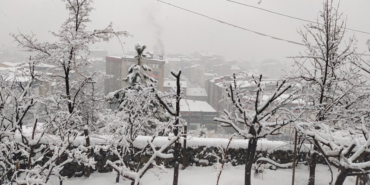 Hakkari'de Kar Yağışı