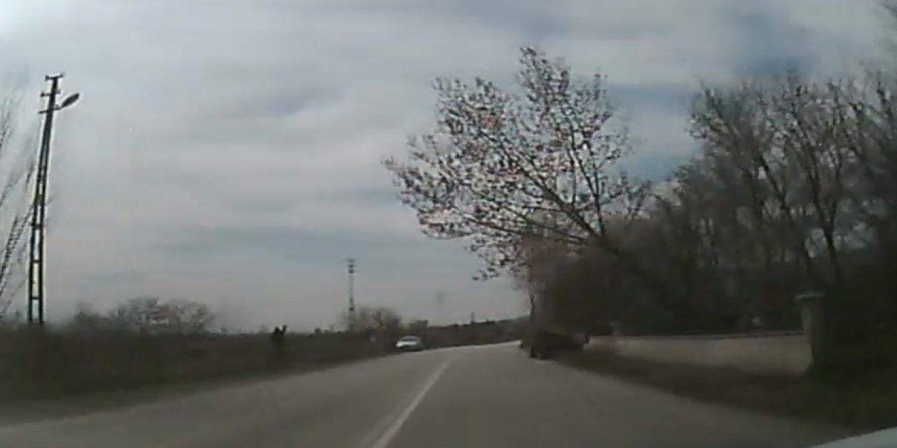 Otomobiliyle Giderken Kesilen Ağacın Altında Kalmaktan Saniyelerle Kurtuldu