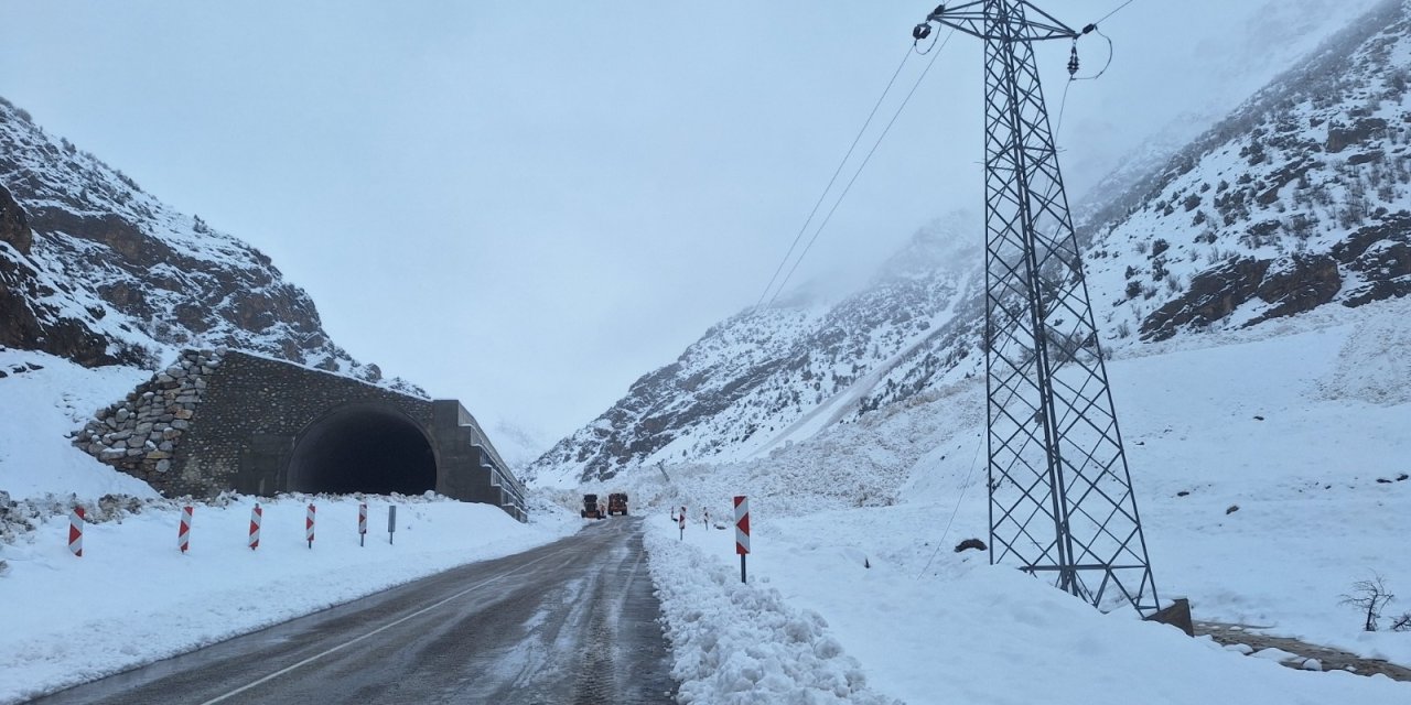 Van'da Kar Yağışı; 446 Yerleşim Yerinin Yolu Kapandı (2)