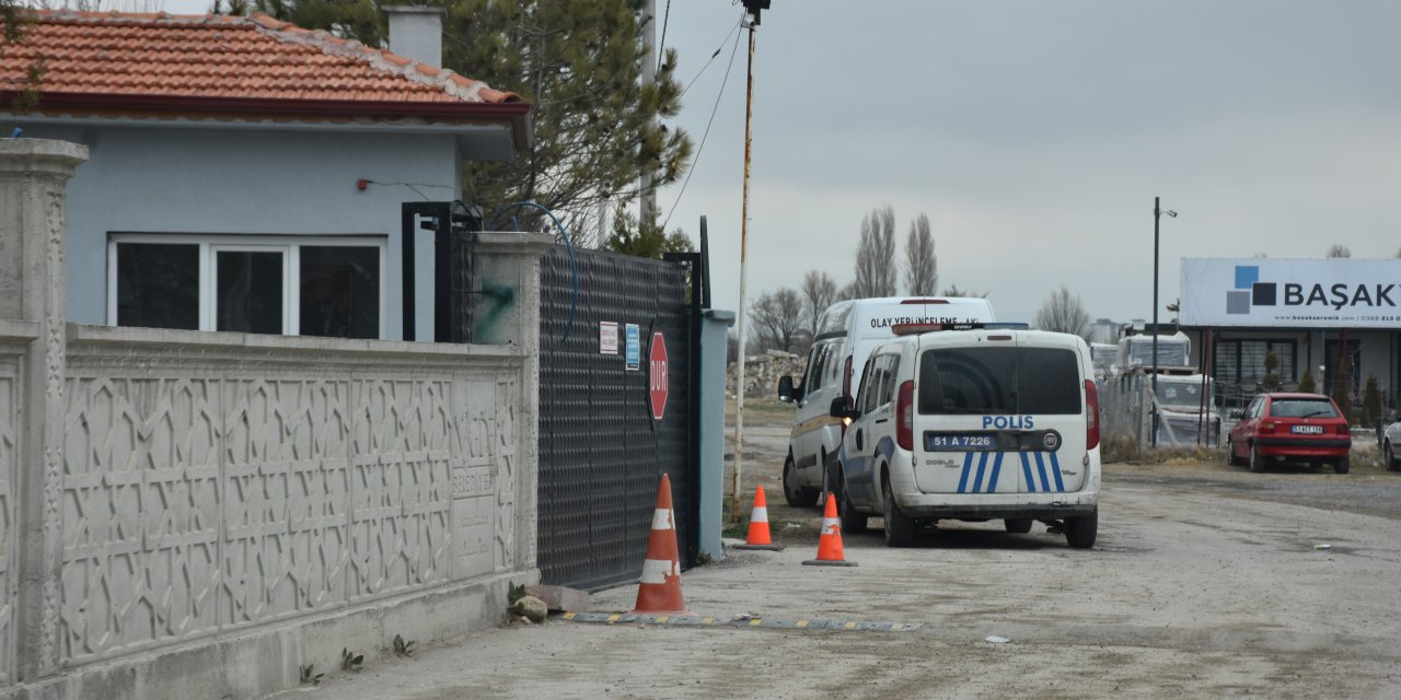 Köpek Dövüşünde Ele Geçirilen 2 Köpek Barınaktan Çalındı