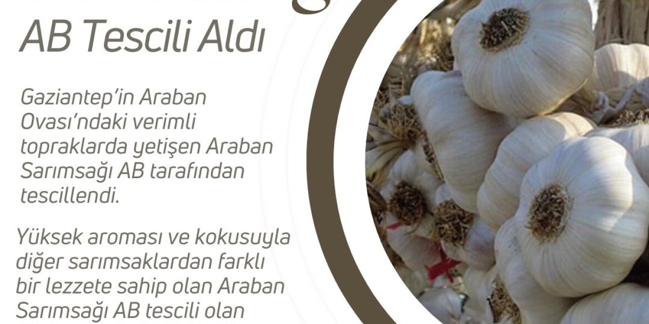 Bakan Yumaklı: Araban Sarımsağı Ab Coğrafi İşaret Tescili Aldı