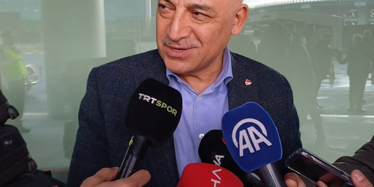 A Milli Futbol Takımı, Macaristan'a Gitti