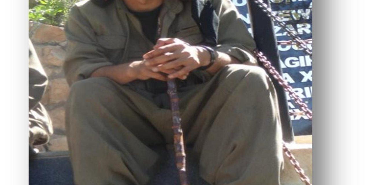 Mit, Pkk/ypg'nin Sözde Kamışlı Batı Sektör Komutanını Etkisiz Hale Getirdi