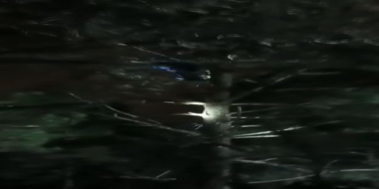 İstanbul - Marmaray İstasyonundaki Saldırgandan Ağaçta Taciz