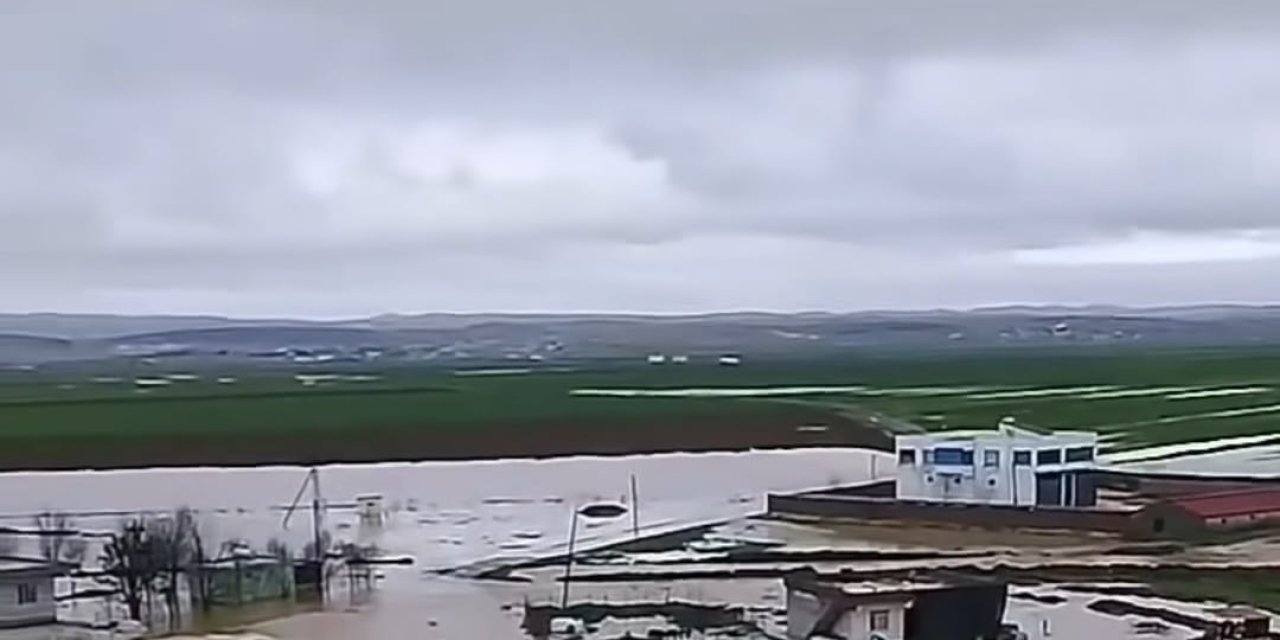 Diyarbakır’da Yağmur; Cami Ve Evleri Su Bastı (2)