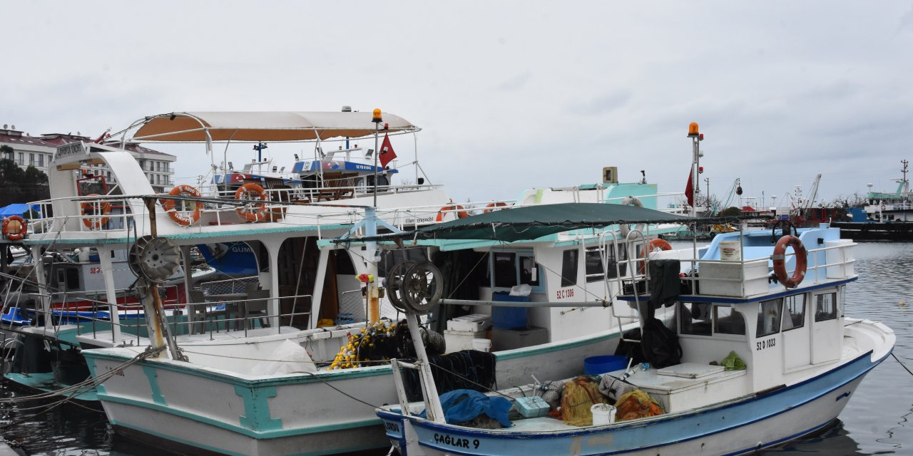 Karadeniz’de Balıkçılar Erken ‘Paydos’ Etti