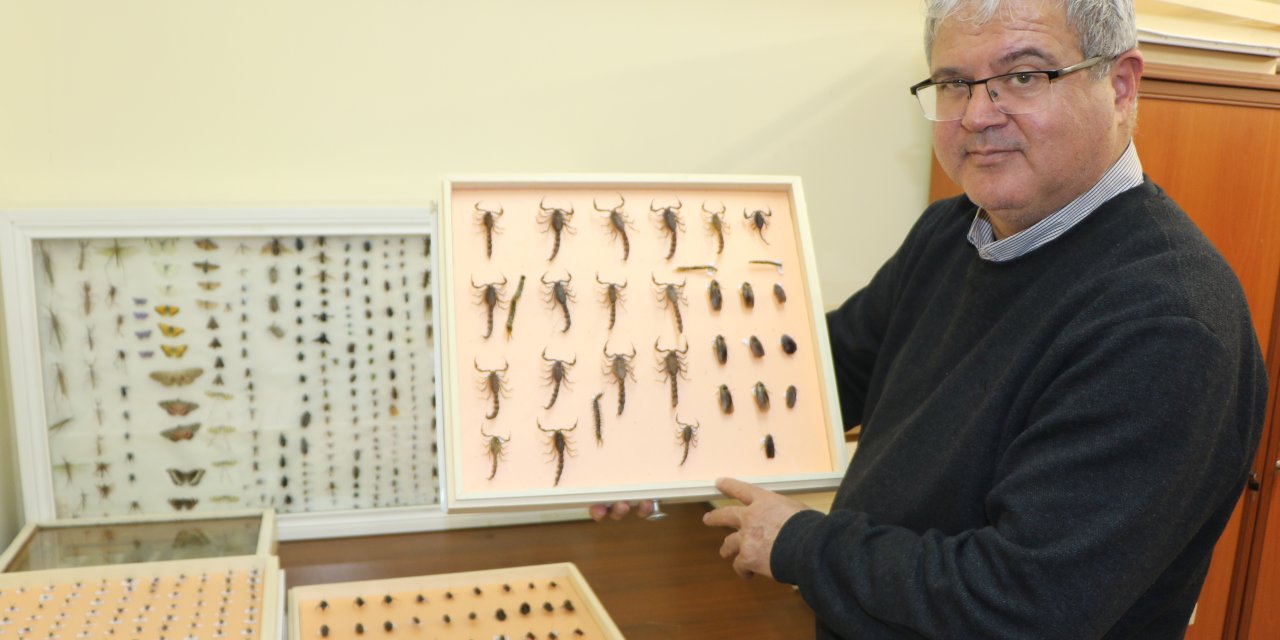 Prof. Dr. Akça'dan Havaların Isındığı Nisan Ve Mayıs Ayları İçin 'Vektör' Uyarısı