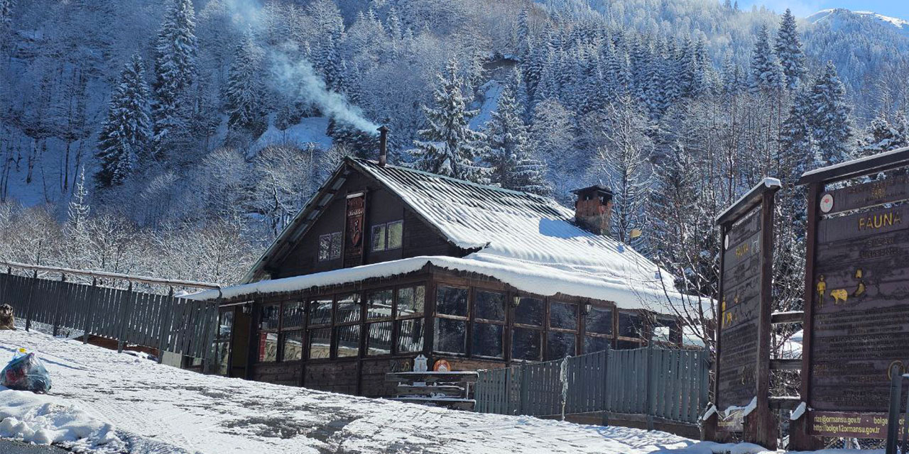 Rize'nin yüksek kesimlerine kar yağdı
