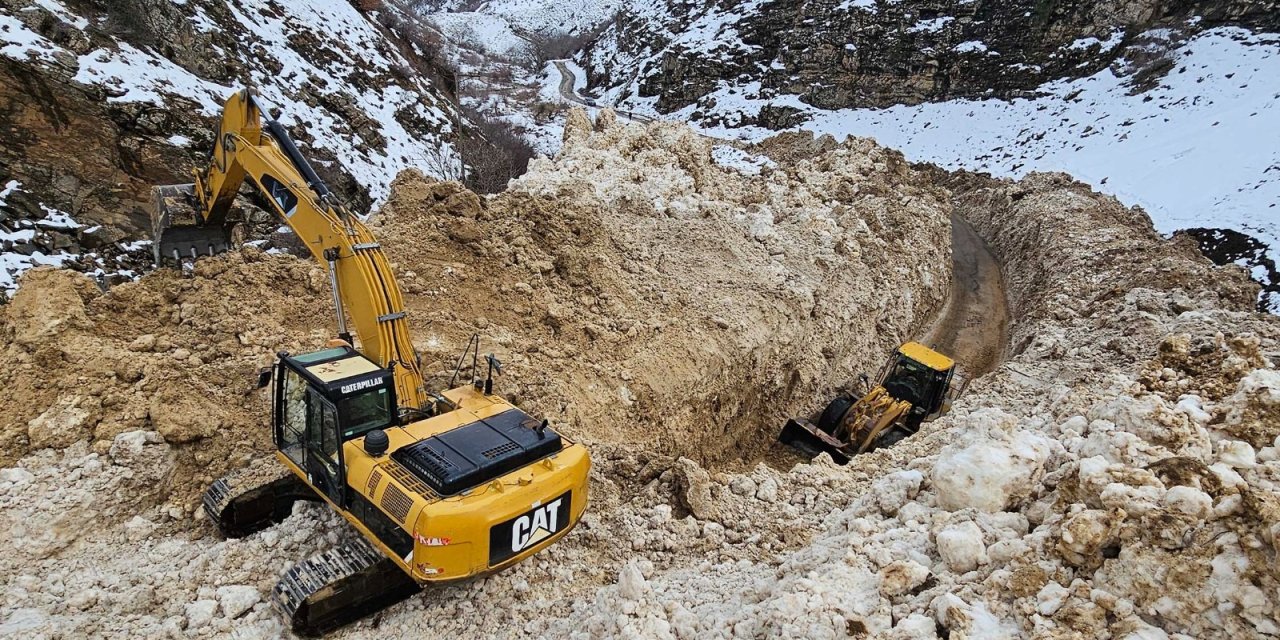 Van'da Mahalle Yoluna Çığ Düştü