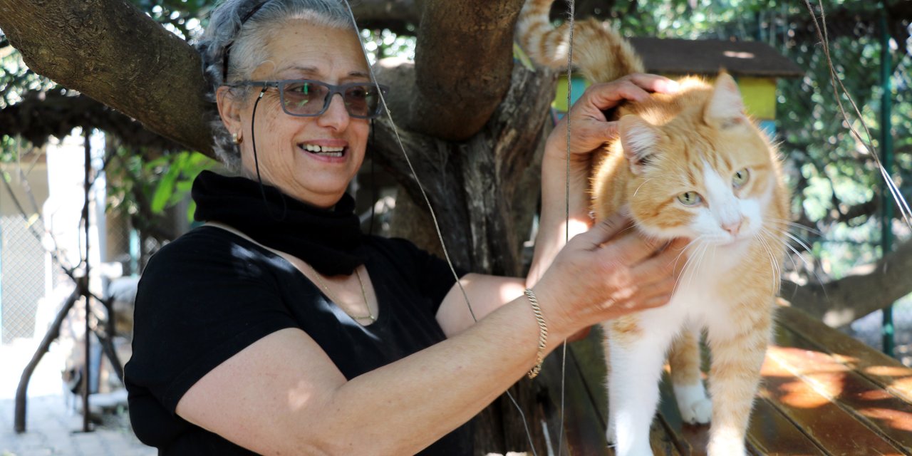 Norveçli Fari, Kurduğu Merkezde Yüzlerce Hayvanın Hayatına Dokundu