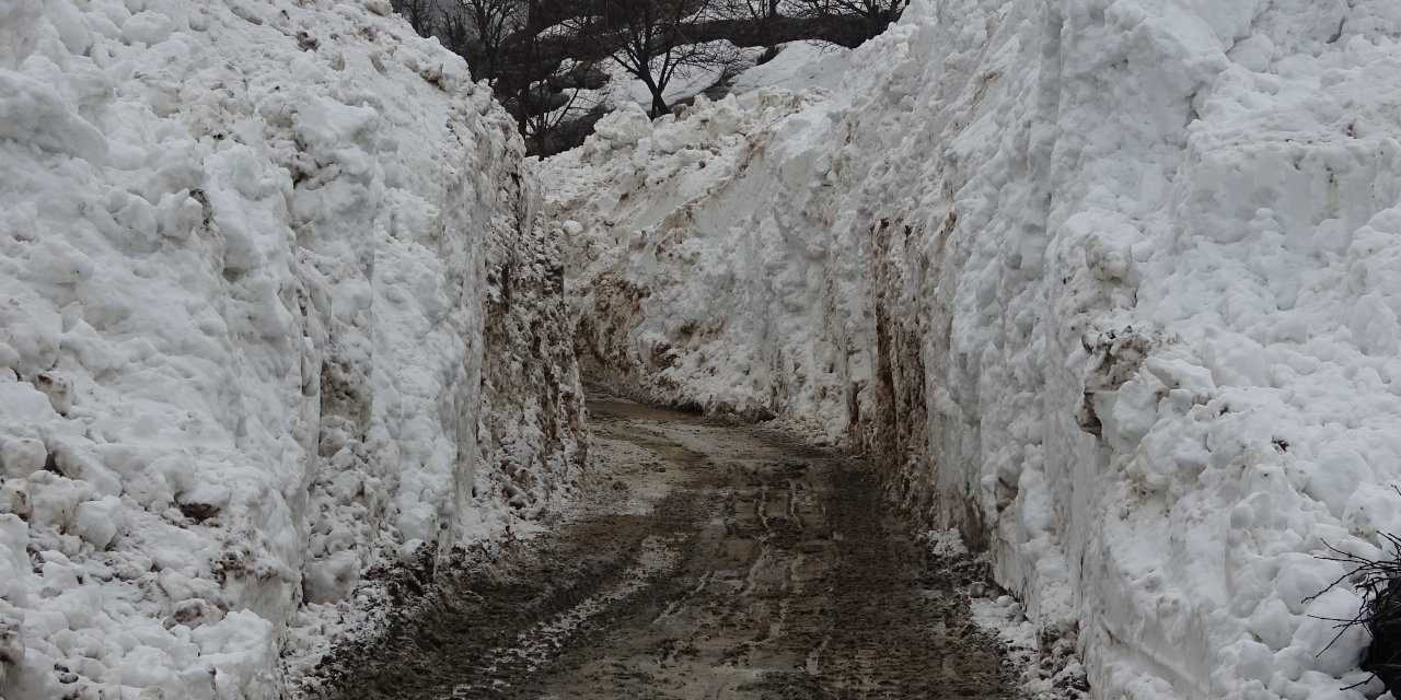 Köye Düşen Çığ, 2 Günde Temizlendi