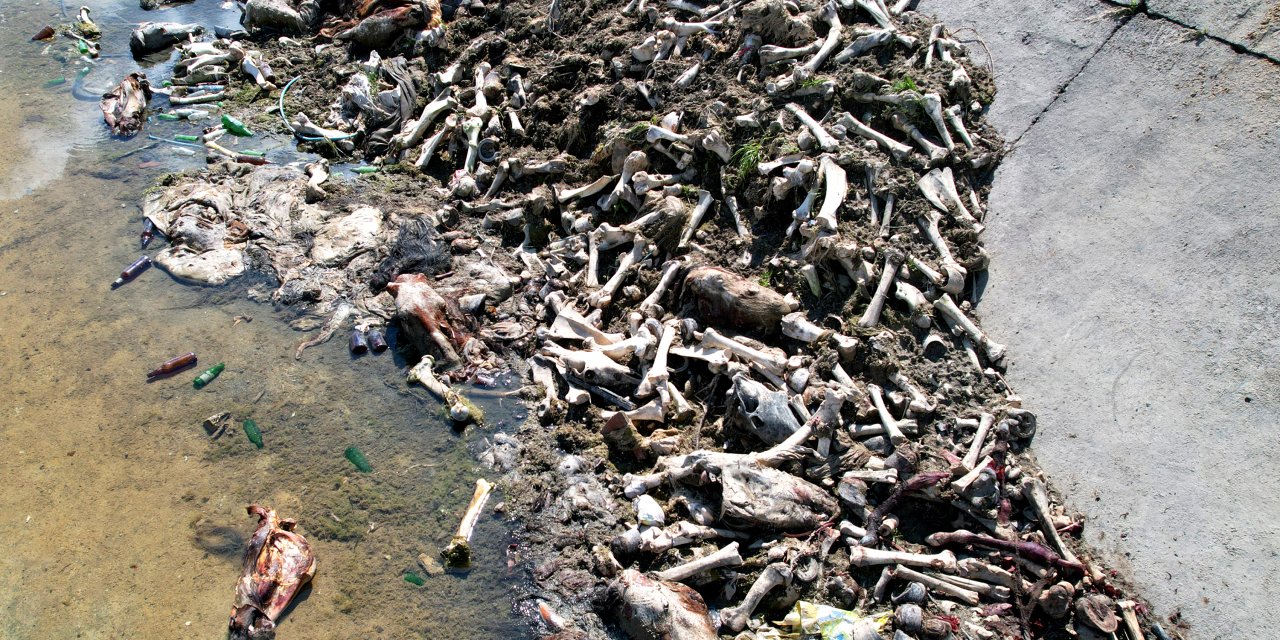 'At Eti Sulu Olur, Mangal Söndürür'