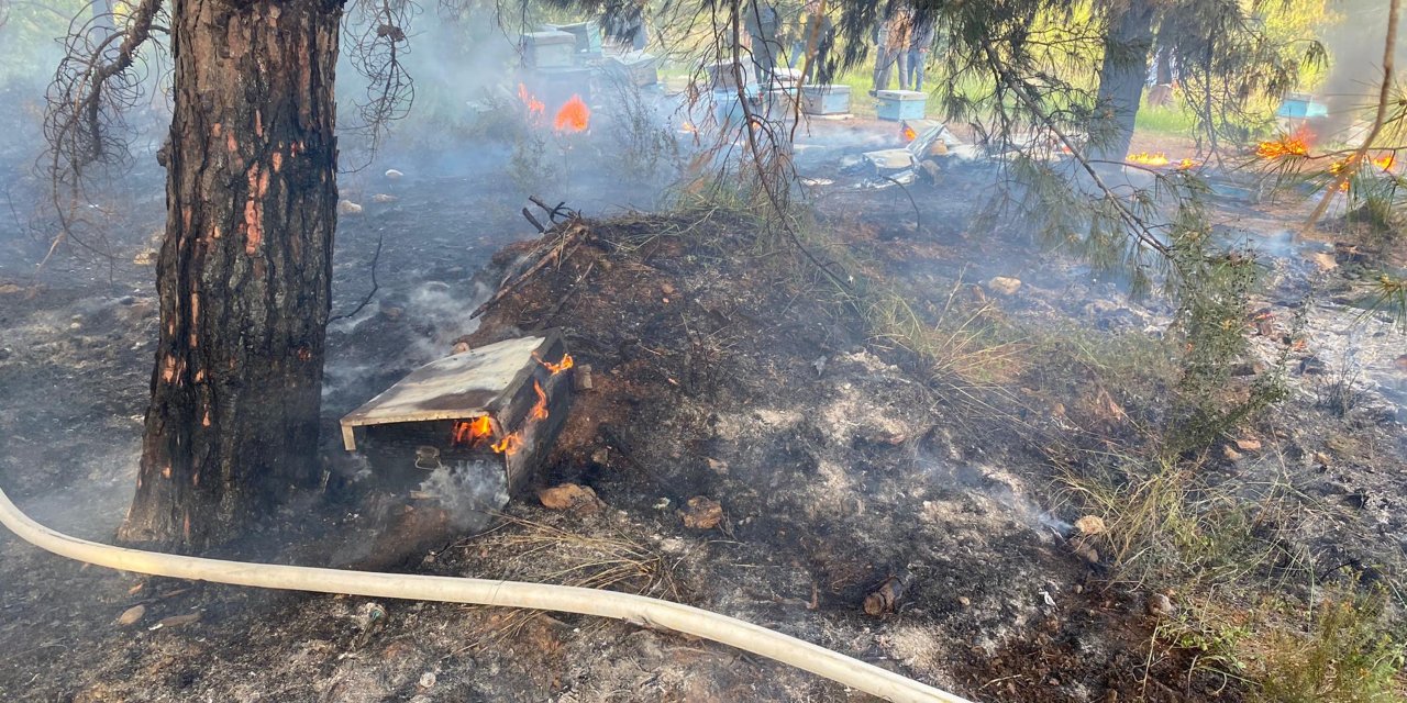 Datça'da Çıkan Orman Yangını Büyümeden Söndürüldü