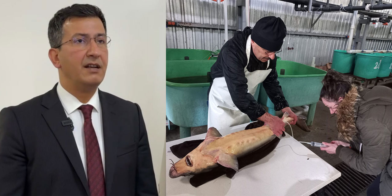 Recep Tayyip Erdoğan Üniversitesi Öğretim Üyelerinden Mavi ve Akıllı Bir Dönüşüm Projesi