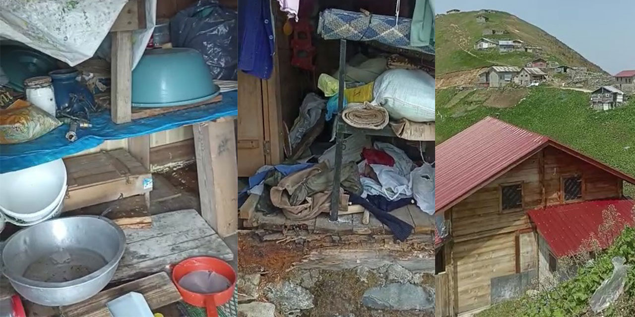 Ayılar yayla evlerini talan etti, vatandaş eve "Selamünaleyküm" diyerek girdi