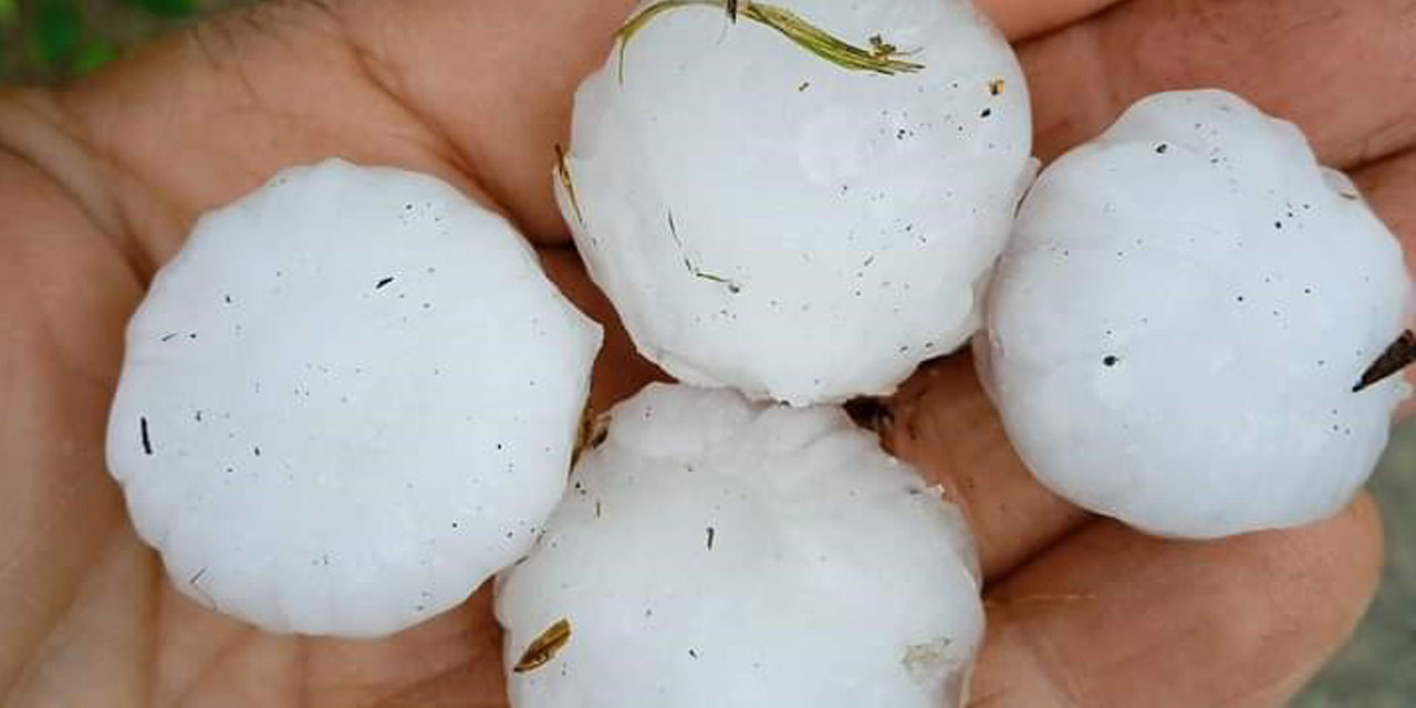 Trabzon’da dolu yağışı etkili oldu