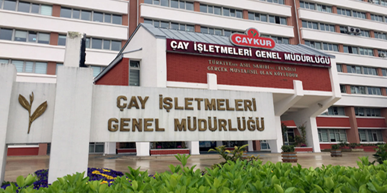 ÇAYKUR Mevsimlik İşçi Alımı Başvuruları Fabrikalara Göre Dağılımı