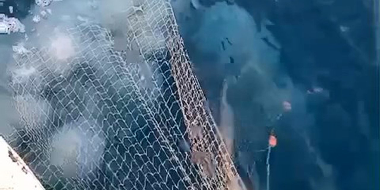 Akdeniz'de Ağları Yırtan Denizanaları İçin Uyarı