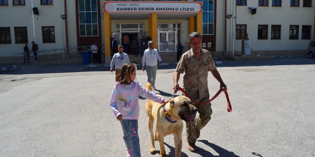 Oy Kullanmaya 'Aksaray Malaklısı' Çoban Köpeğiyle Geldi