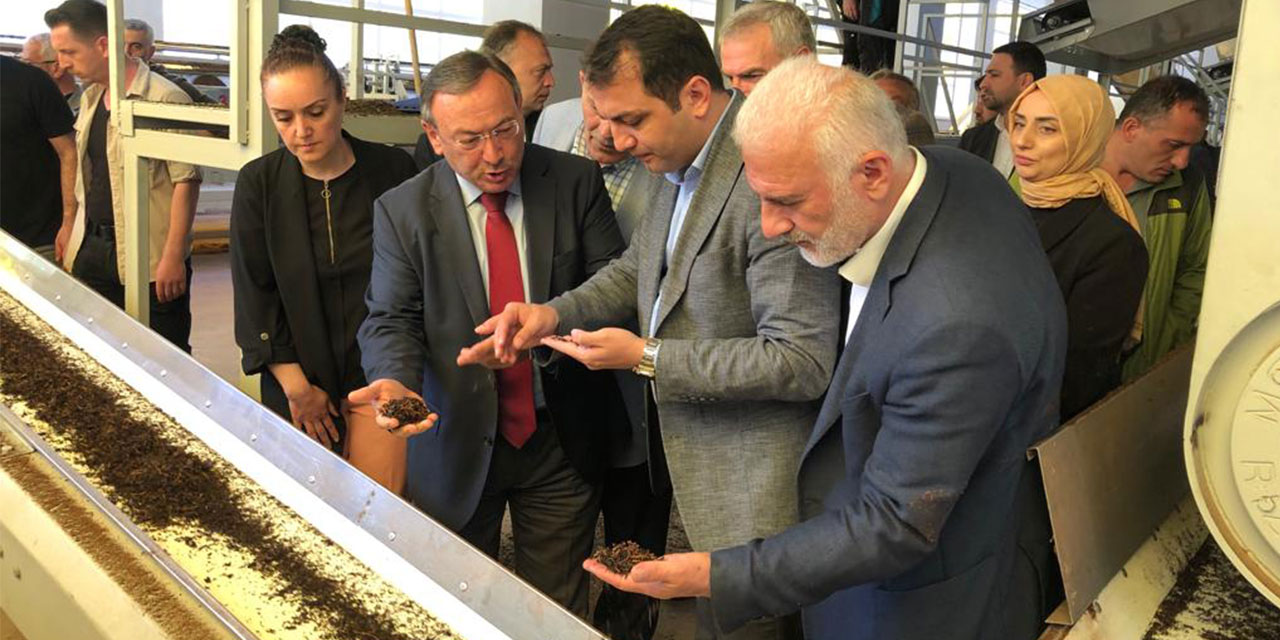 Kaymakam Öznay ve Belediye Başkanı Haşimoğlu’ndan ÇAYKUR Çamlıhemşin Çay Fabrikasına Ziyaret