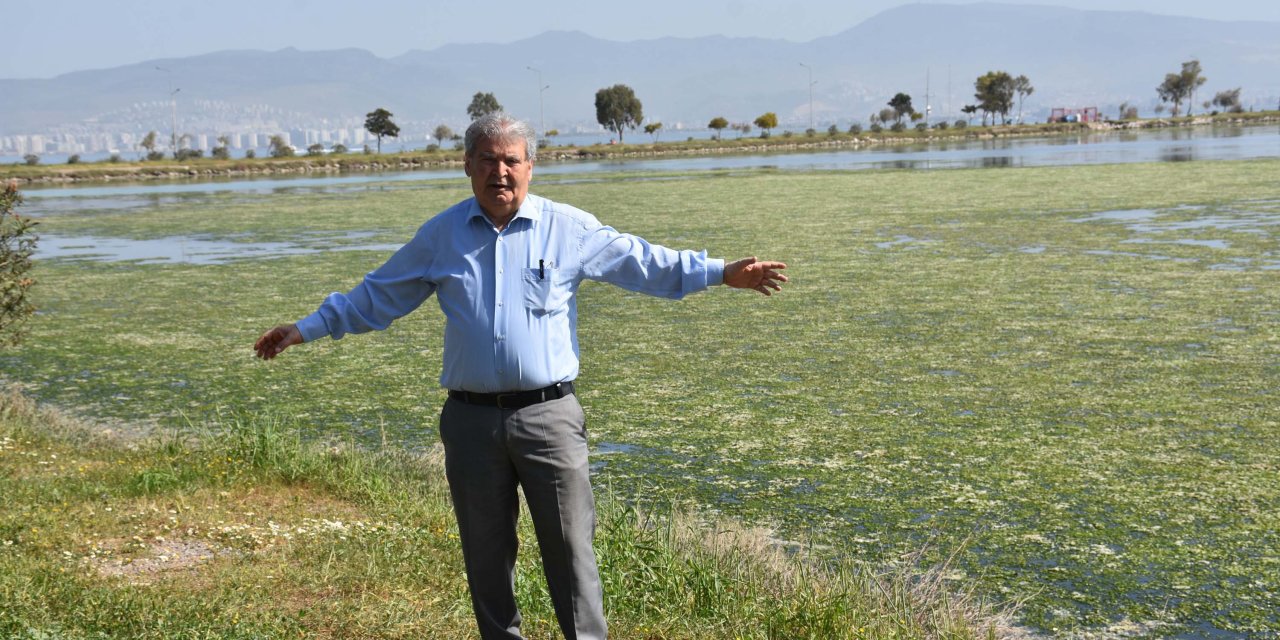 Prof. Dr. Yaşar’dan Deniz Marulu İle Kaplanan Çakalburnu Dalyanı İçin ‘Bataklık’ Uyarısı