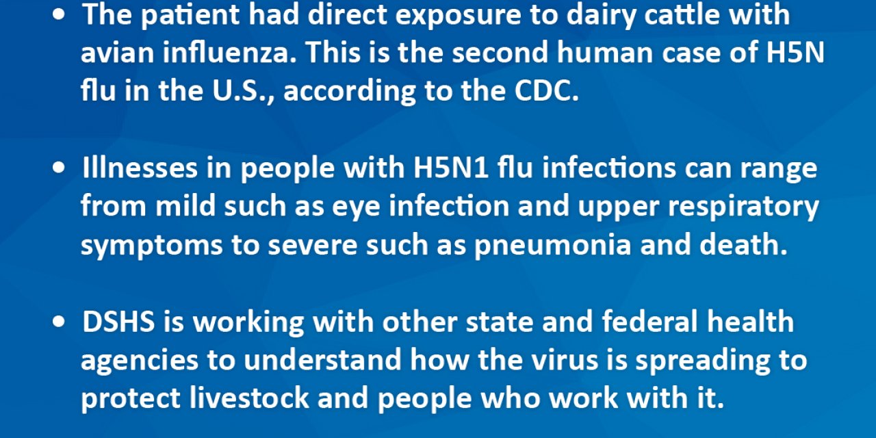 Abd’de 1 Kişide Kuş Gribi Tespit Edildi