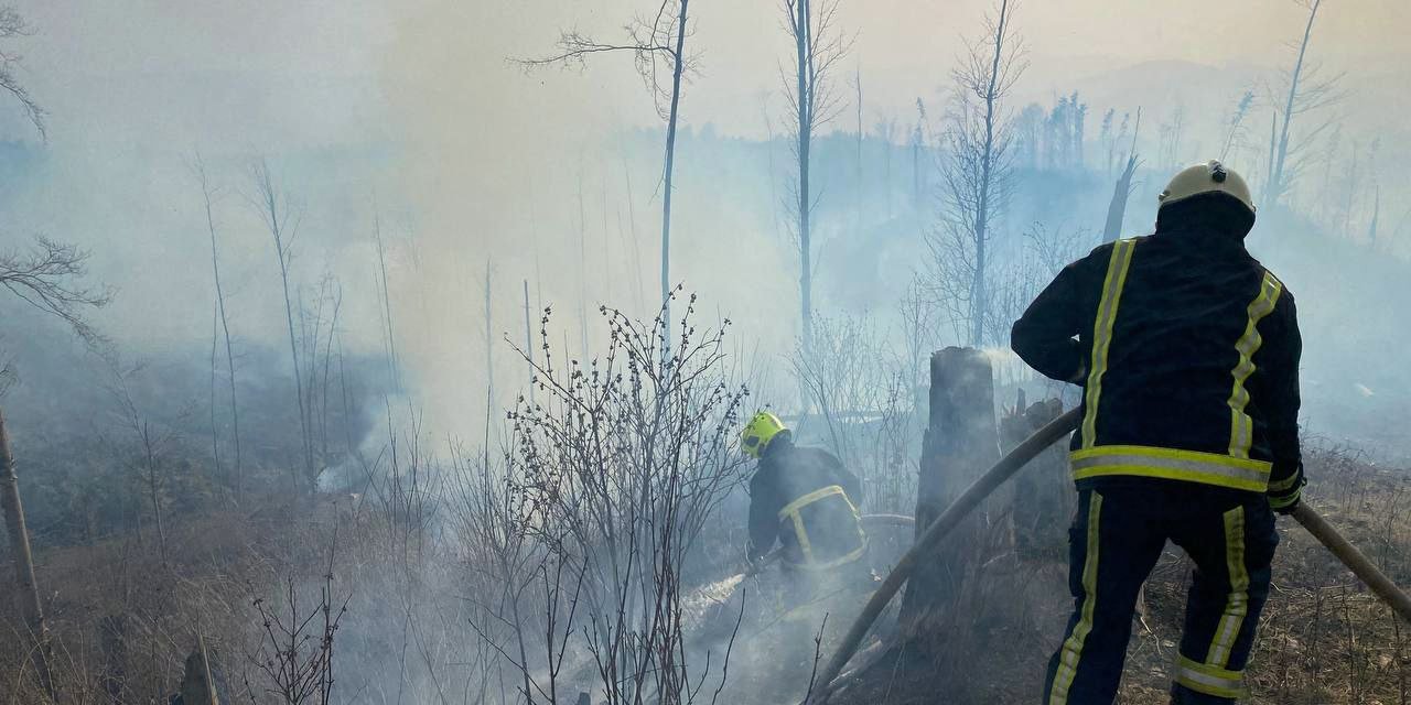 Ukrayna’da Orman Yangını: 5 Kilometrelik Alana Yayıldı