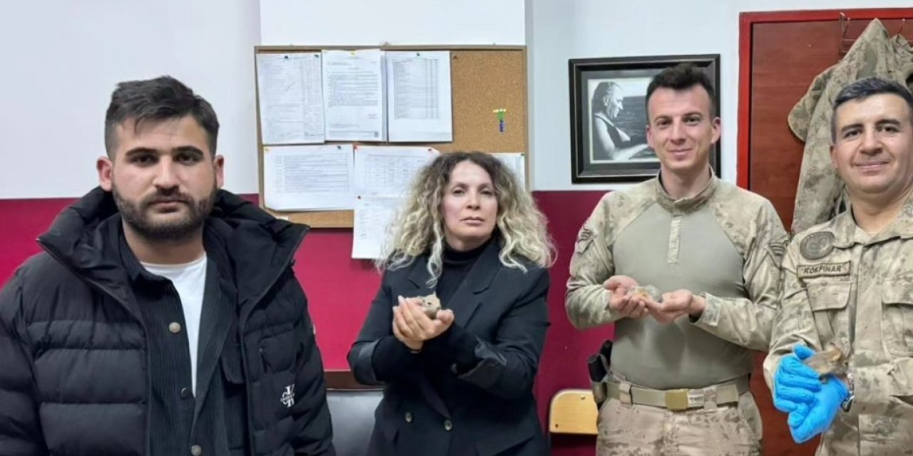 Yavru Sincap Satan 3 Kişiye 174 Bin Tl Ceza