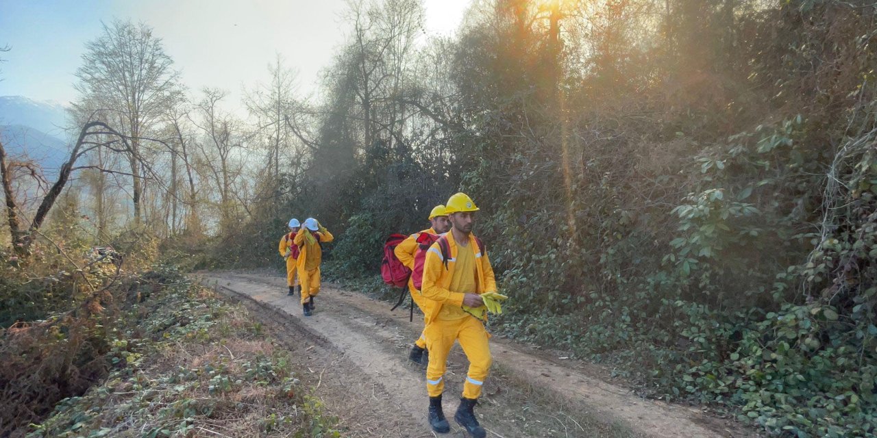 Artvin’de Orman Yangını Söndürüldü